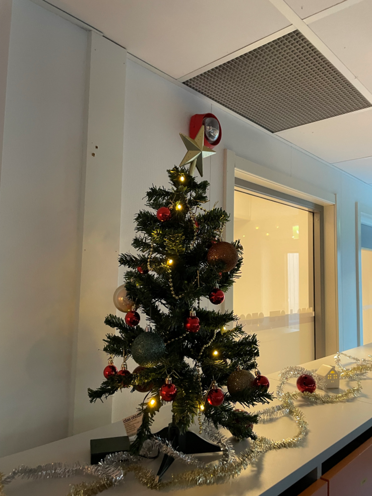 Jul i klasse 8C