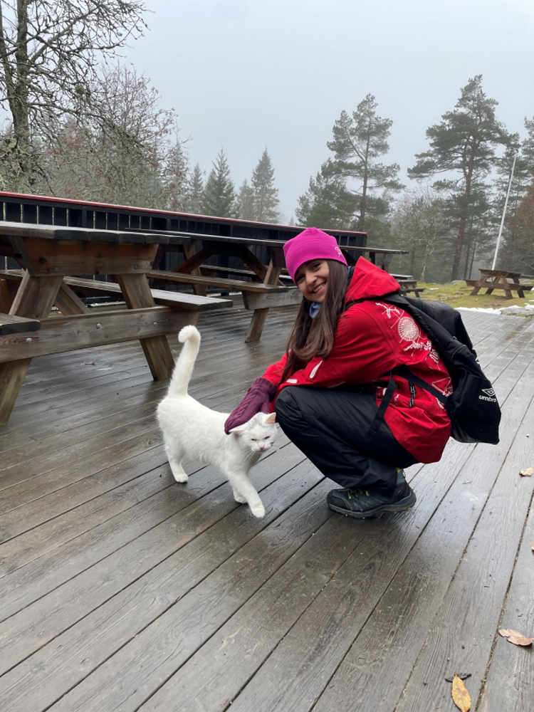 Pus på Vangen