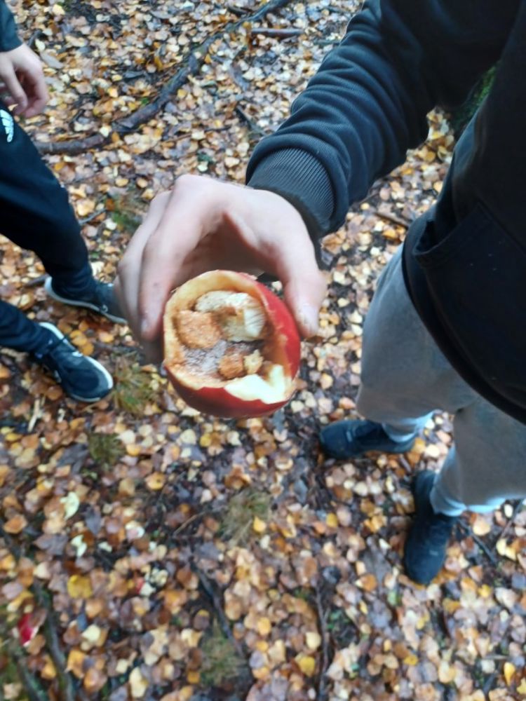 Epler med sukker og kanel